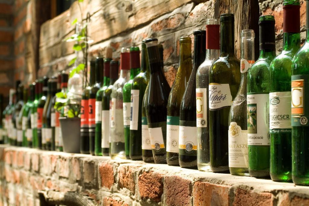 Hotel Vineyard Inn - Szoloskert Kanije Dış mekan fotoğraf
