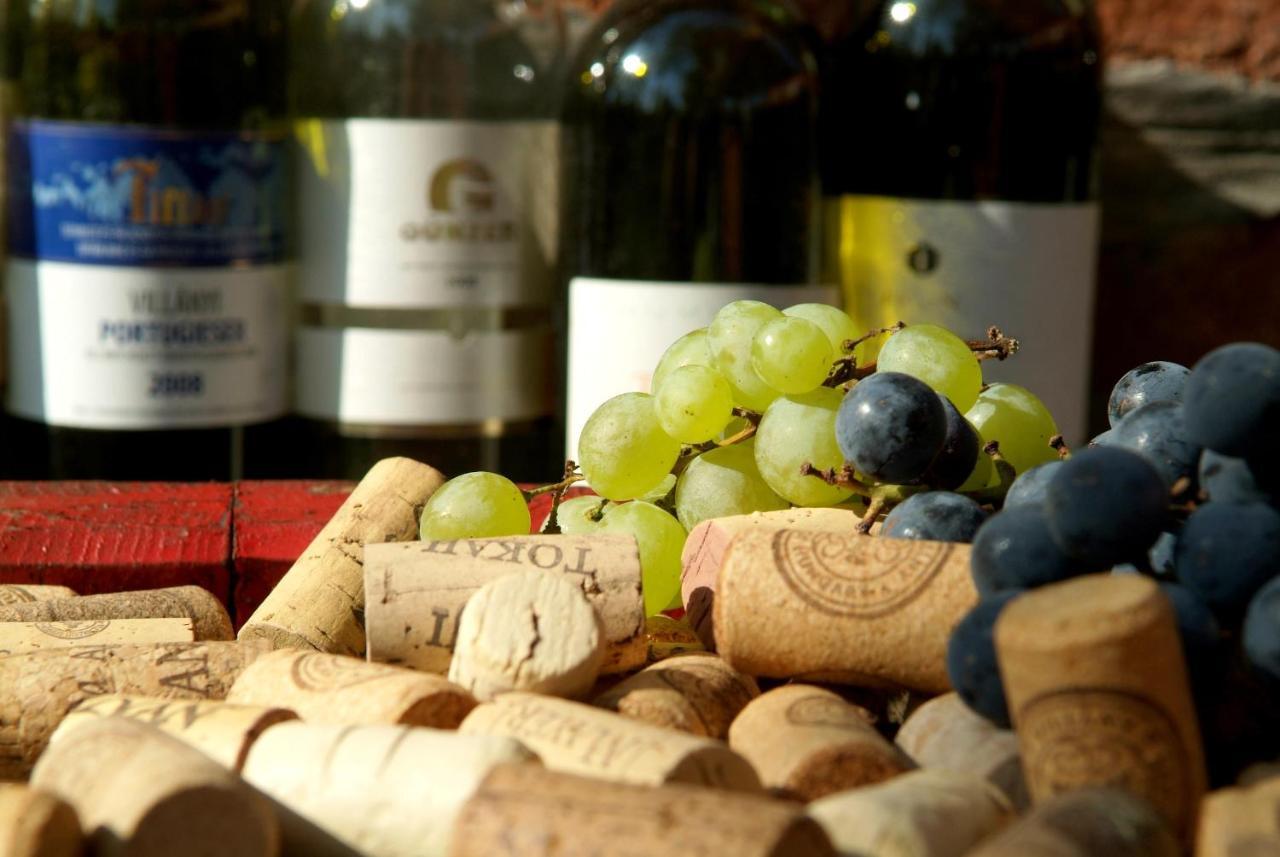Hotel Vineyard Inn - Szoloskert Kanije Dış mekan fotoğraf